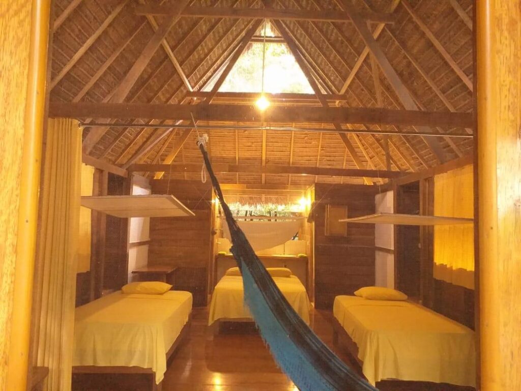 Collpas-Tambopata-Inn-Eco-Liodge-4