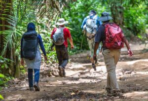 Jungle-walk-Puerto-Maldonado