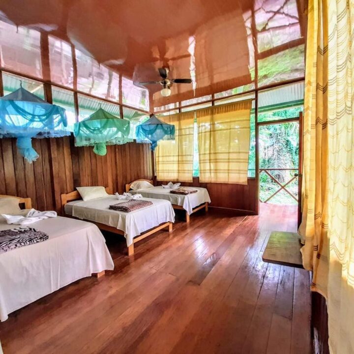 Amazon Lodge Tambopata (5)