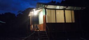 Wildlife Immersion - Stay in front of Sandoval Lake 4 Days 17 Jaguar Tambopata lodge (10)