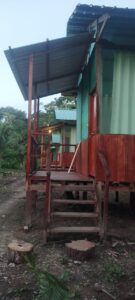 Wildlife Immersion - Stay in front of Sandoval Lake 4 Days 40 Jaguar Tambopata lodge (11)