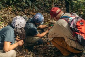 Discover new species with Tambopata research center team 5 Days 45 watching insects amazon wildlife tours peru