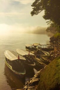 Unforgettable experience 4 days in the Amazon, Delux Lodge for less 6 tambopata cloud tambopata river