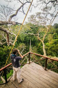 Unforgettable experience 4 days in the Amazon, Delux Lodge for less 8 peru amazon rainforest tour agency