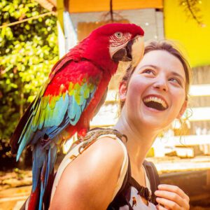 Unforgettable experience 4 days in the Amazon, Delux Lodge for less 9 tambopata clay lick