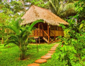 Unforgettable experience 4 days in the Amazon, Delux Lodge for less 16 Corto Maltez Tambopata (3)