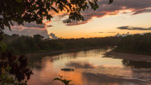 Discover new species with Tambopata research center team 5 Days 35 Sunset Cruise puerto maldonado tours