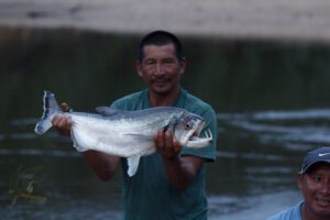 payara fishing