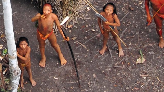 Exploring the Amazon Rainforest Uncontacted Tribes 🌿 31 Amazon rainforest uncontacted tribes