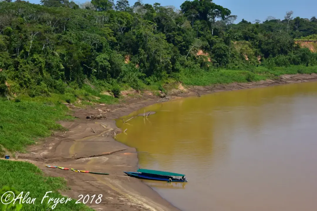 Tambopata river scaled