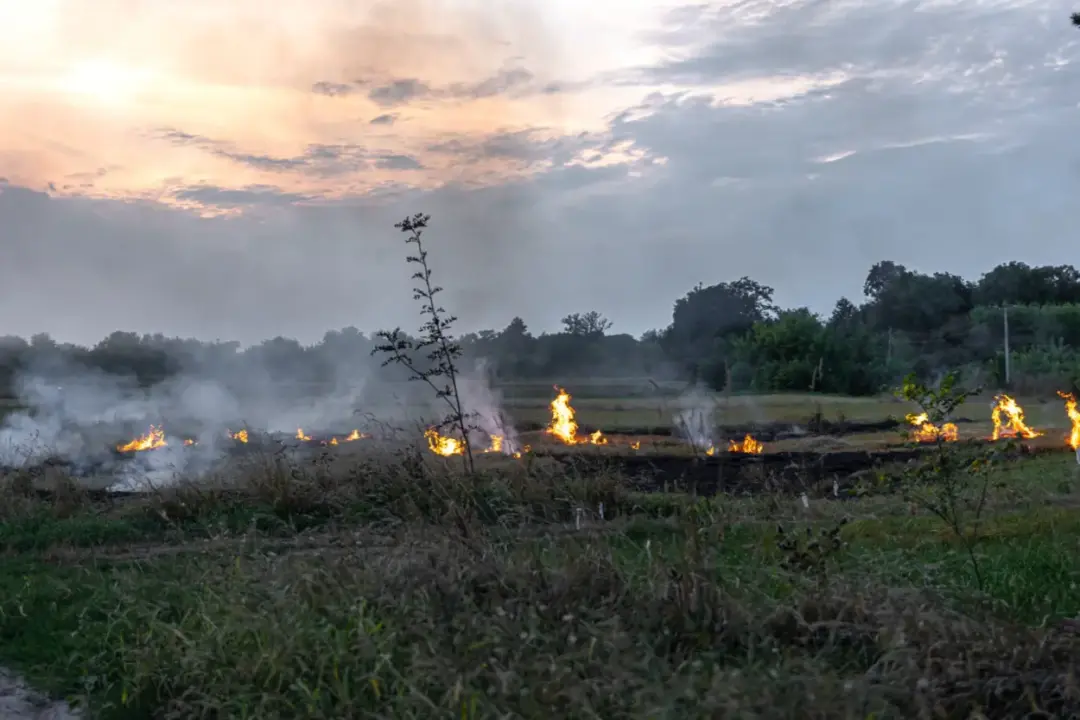 amazon electric fires