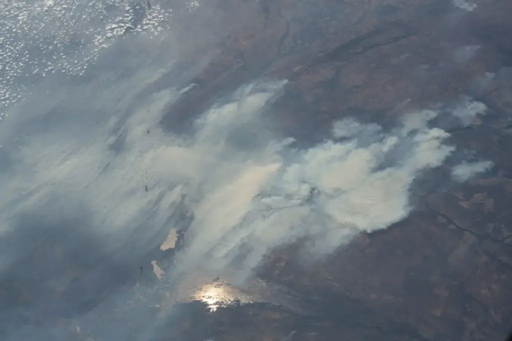 Understanding the Wildfires in the Amazon Rainforest: Causes and Impacts 30 amazon fires map