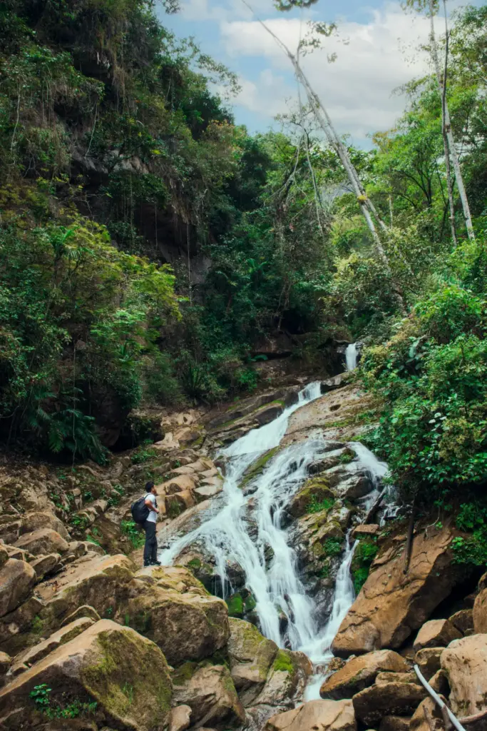 Trekking in the Amazon Rainforest: A Journey Through Nature’s Wonderland 25 amazon rainforest hiking tours