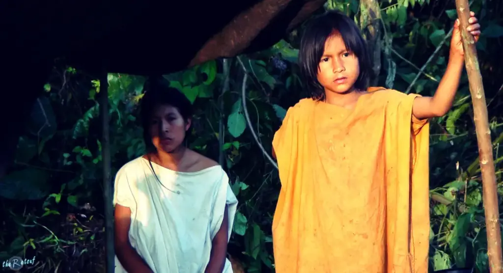 ¿Vale la pena visitar la Reserva Tambopata? Descubriendo los tesoros ocultos de la Amazonía peruana. 25 machiguenga language
