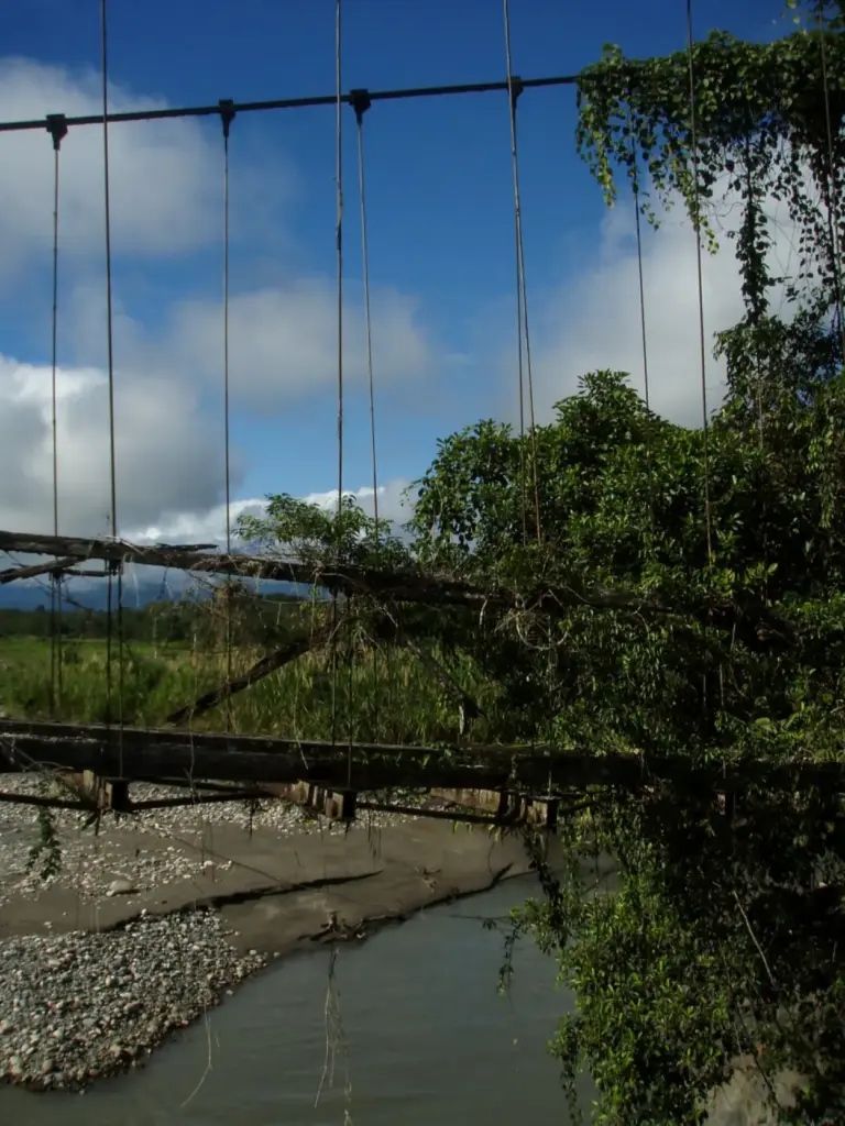 Explorando la Selva Encantada de Perú: Parque Nacional Manu 23 parque nacional manu desde cusco