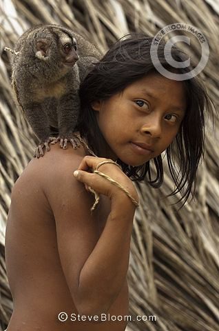 Exploring the Amazon Rainforest Uncontacted Tribes 🌿 32 names of tribes in the amazon rainforest