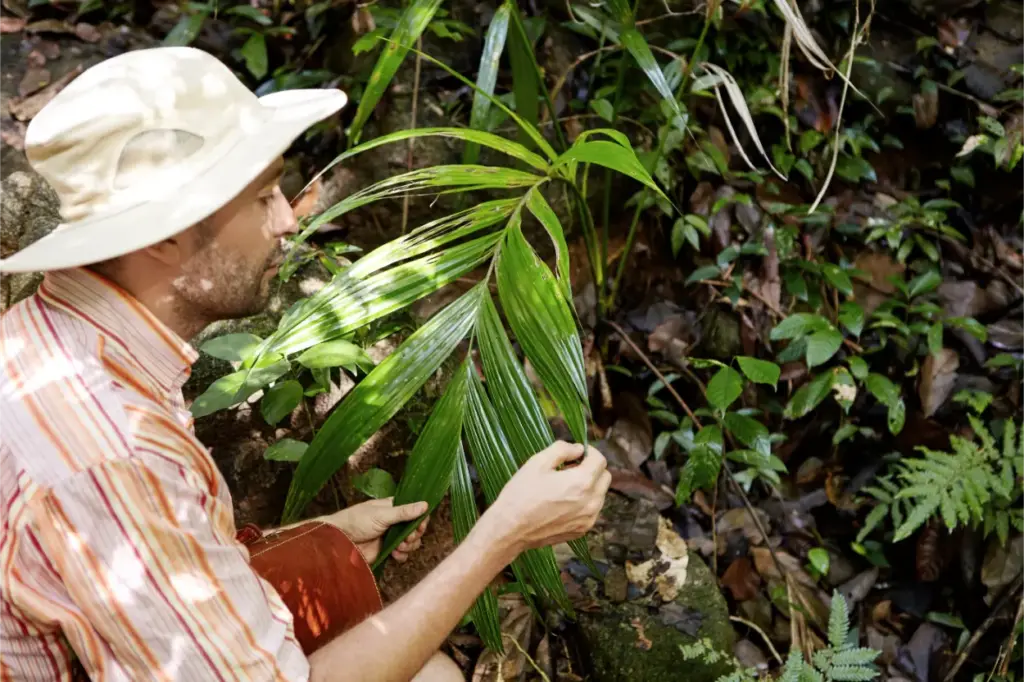 10 Surprising Amazon Rainforest Facts 30 outdoors-exploring-nature-conditions- south america amazon rainforest facts