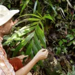 outdoors-exploring-nature-conditions- south america amazon rainforest facts