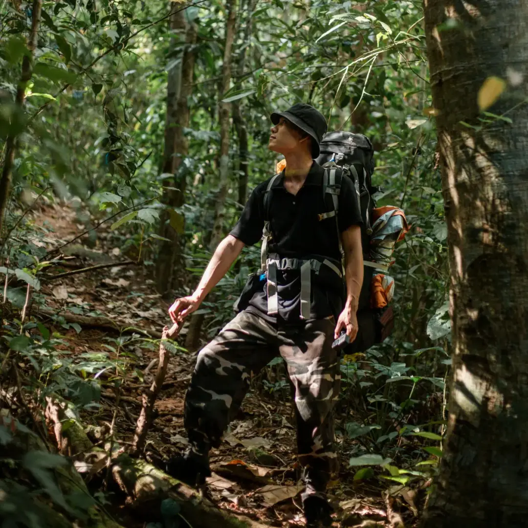 survival in jungle