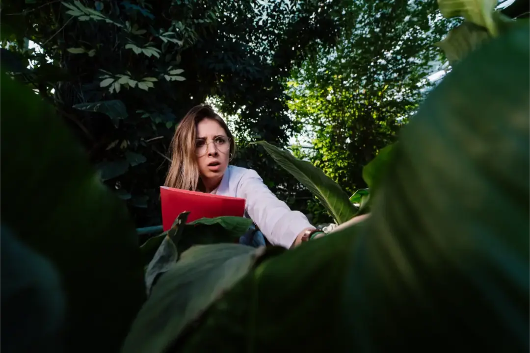 young-agricultural-engineer amazon rainforest facts
