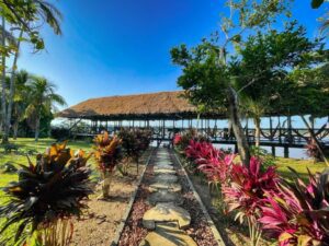 Eco Amazonia Lodge Jungle