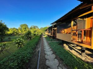 Eco Amazonia Lodge trails and garden