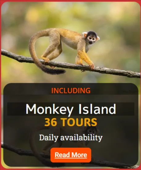 monkey island tours