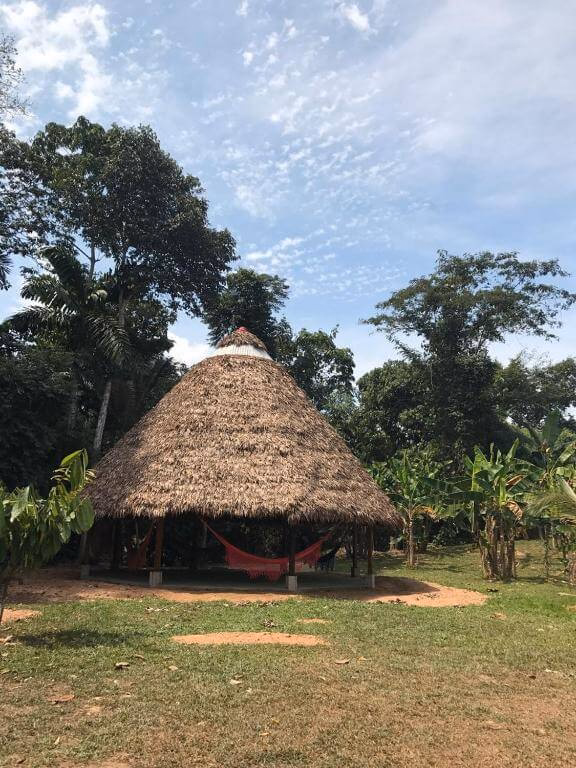 puerto maldonado lodges Macaw