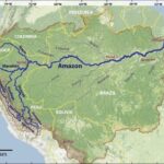 How Big Is the Amazon Rainforest