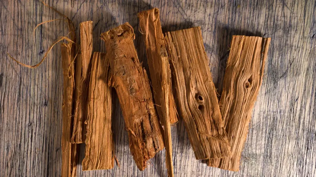 Unveiling the Riches of Herbal Medicine from the Amazon Rainforest