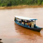 Rivers of tambopata