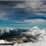 Where Is the Amazon Jungle