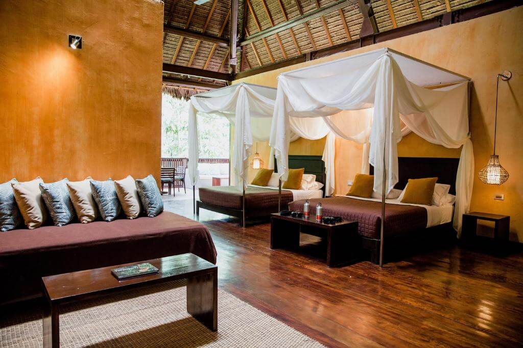 🌿 Amazon Lodge: Exploring the Heart of the Rainforest in Comfort and Conservation