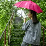 girl umbrella walk rainy season in amazon