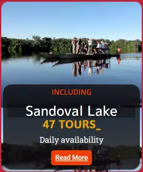 j9bkvv1zsskcjpicjz9r