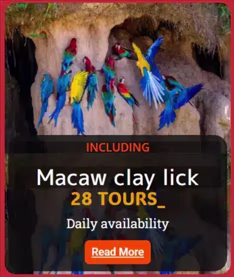 zup3yu1sf52ekfkaofz4