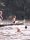 Amazon jungle tours Peru Sandoval Lake 3D/2N