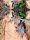 Macaw clay - Sandoval Lake Amazon (Super Deal) 4D
