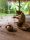 Amazon Experience: Native family / Lake Sandoval 2D/1N