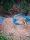Wild Amazon: Macaw clay lick deeper in Jungle 2D/1N