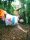 Tambopata tours - Macaw Adventure 3D/2N